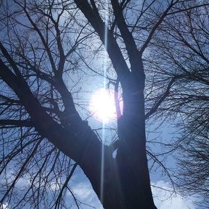 Meet your Posher, Dilara